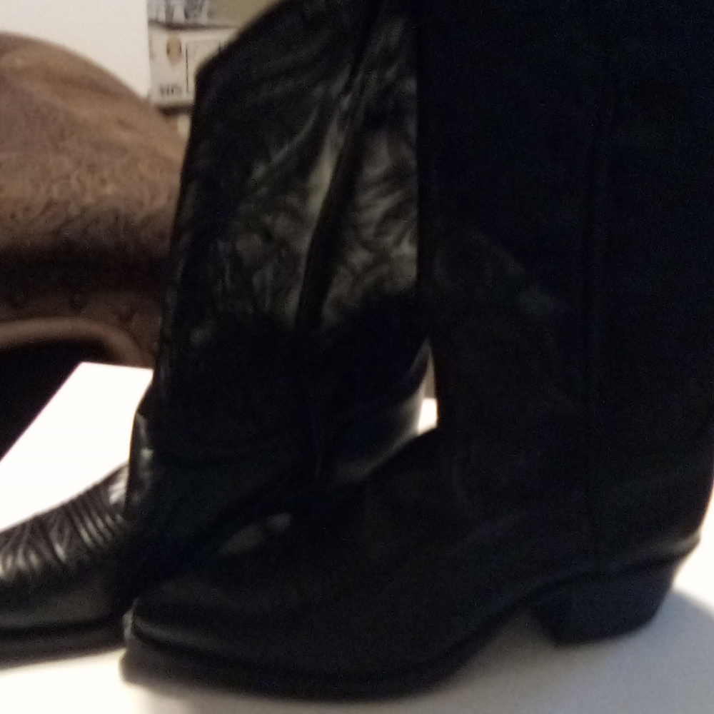 Dan Post women's boots
